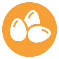 Huevos