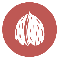 Frutos Cáscara